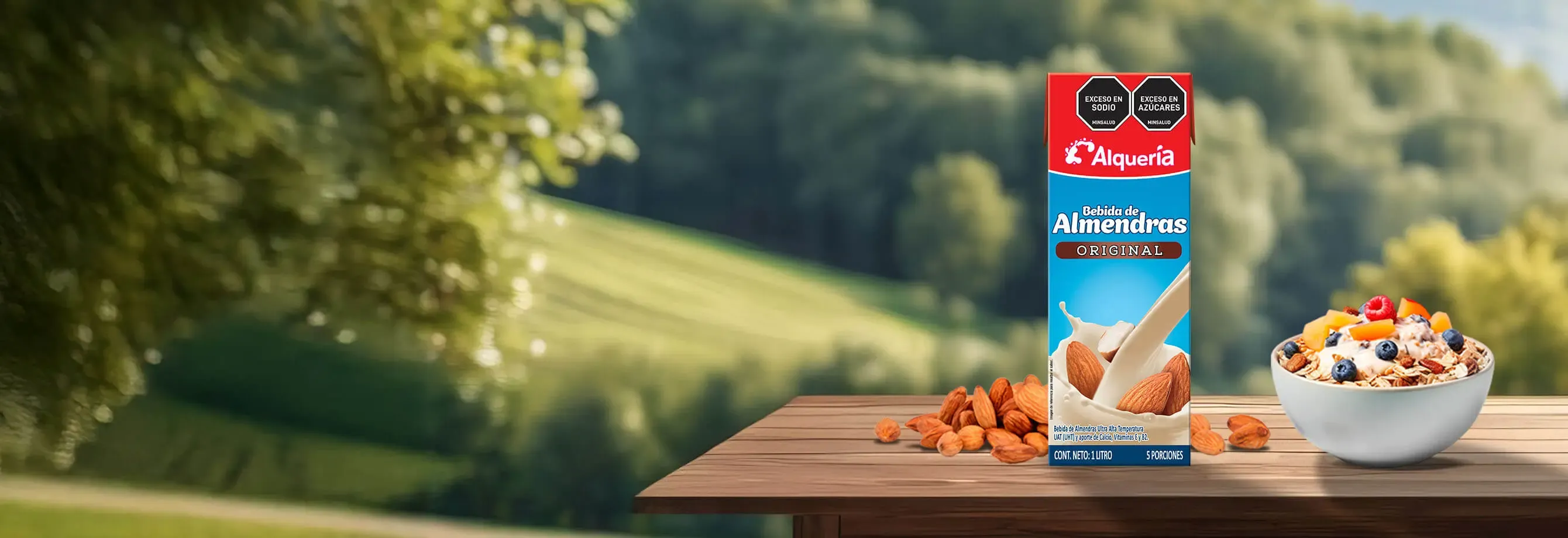 Bebida de Almendras Banner