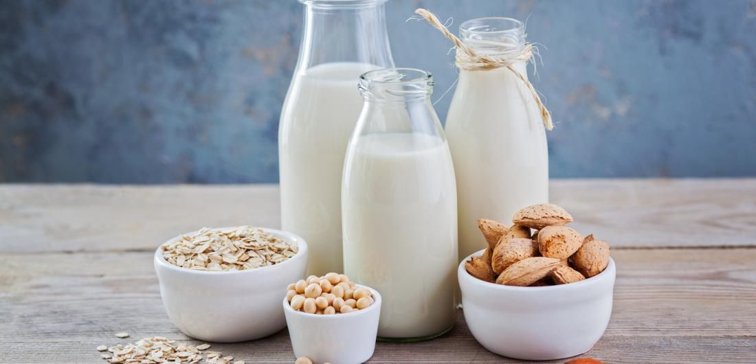 Bebidas vegetales que te encantarán, ¡incorpóralas en tus recetas!