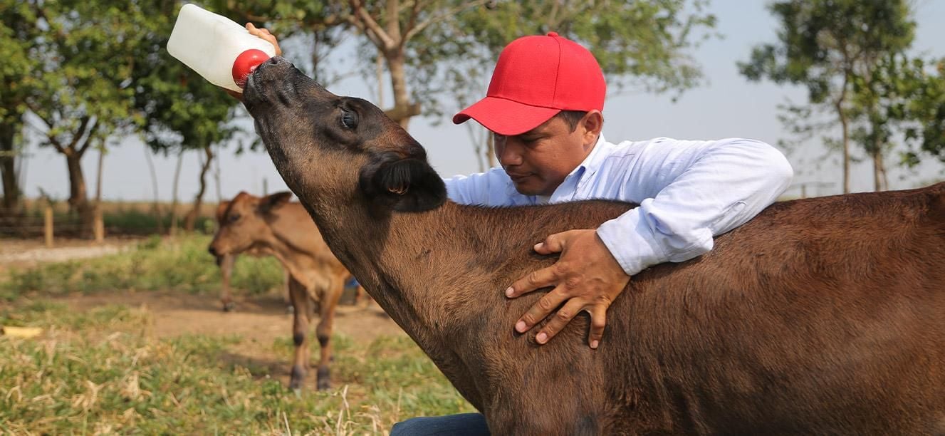 Ganadería sostenible