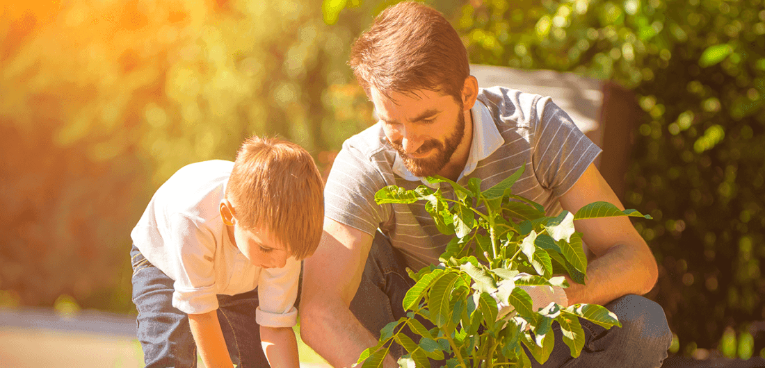 Desarrollo sostenible