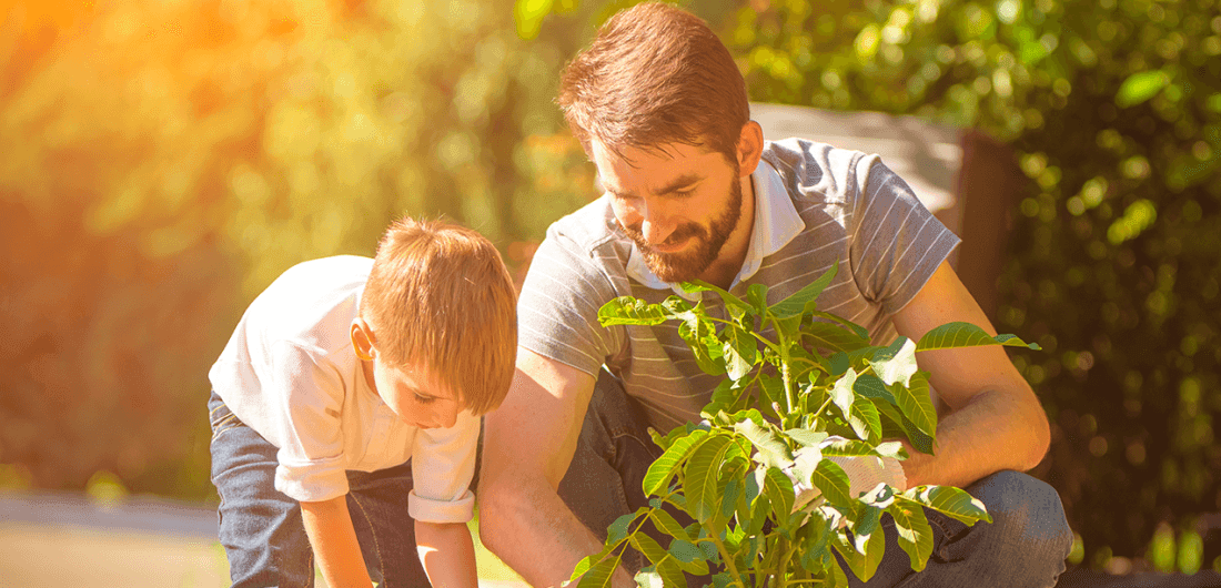 Desarrollo sostenible