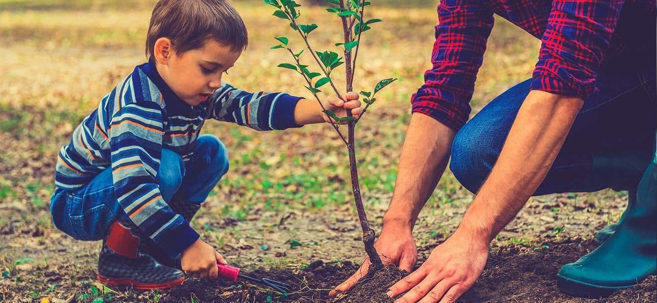 Conciencia Ambiental