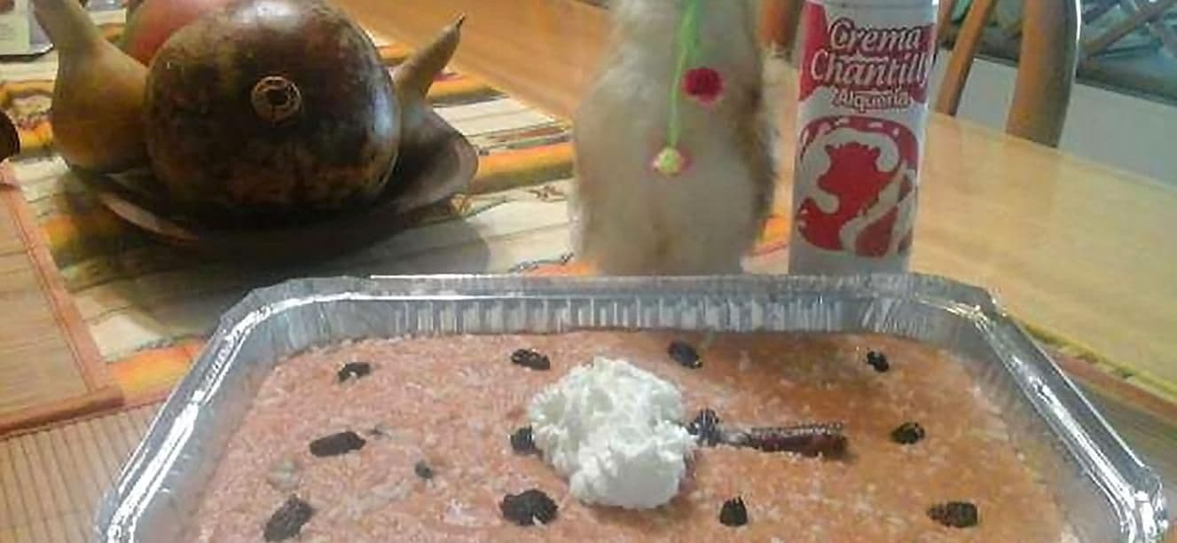 Arroz con leche especial