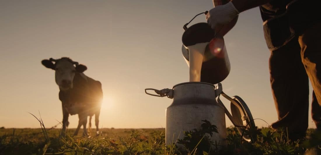 Historia de la leche: su evolución y su importancia en la actualidad