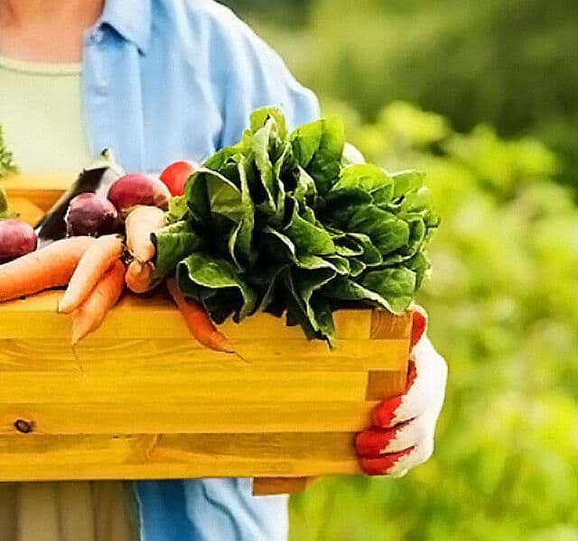 Canasta de alimentos orgánicos