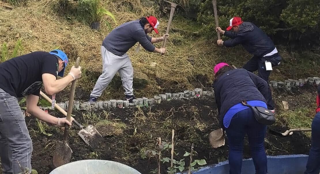 comunidad voluntarios