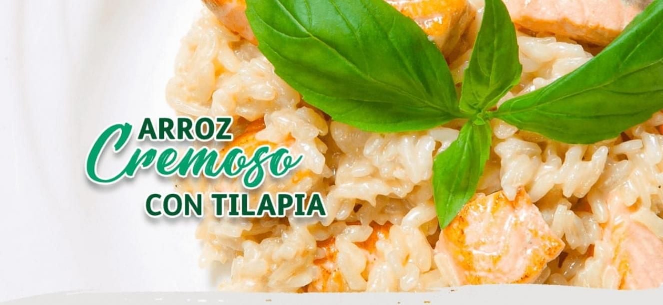 Pescado tilapia con arroz cremoso