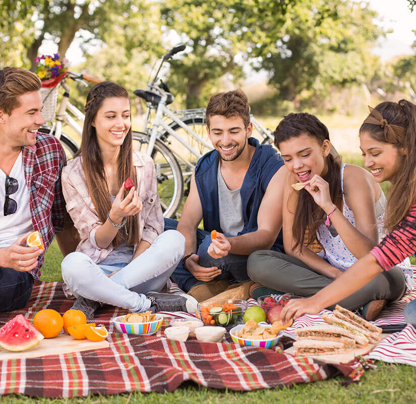 Picnic con amigos Picnic con amigos