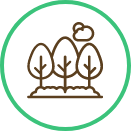 Programa de Sostenibilidad Icono Programa de Sostenibilidad