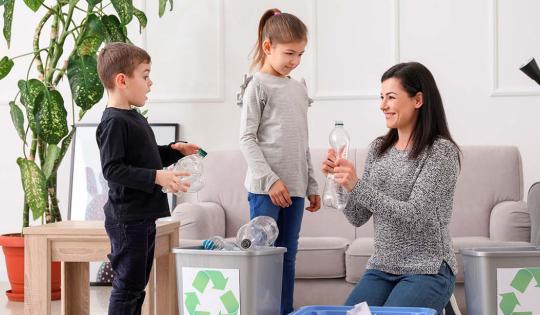 ¿Cómo reciclar el PET en casa? ¿Cómo reciclar el PET en casa?